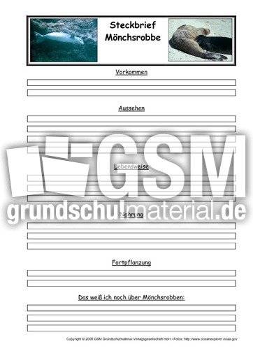 Mönchsrobbe-Steckbriefvorlage.pdf